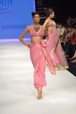 Model walks the ramp for Raksha Show at IIJW Day 4 on 22nd Aug 2012 (12).JPG